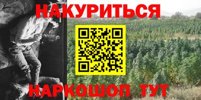 мдпв Бийск