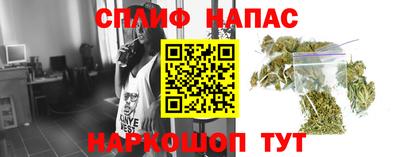 шишки Беслан