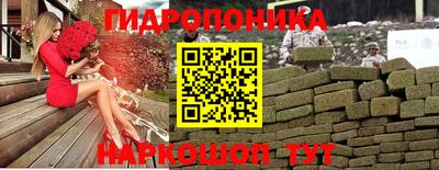 мдпв Бийск