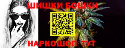 мдпв Бийск