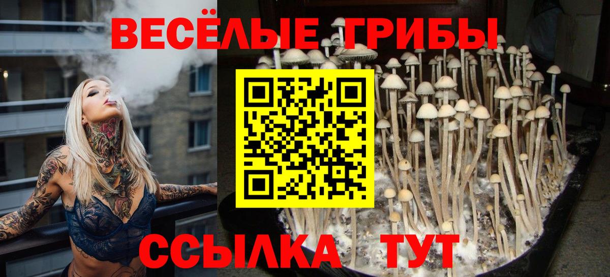 Галлюциногенные грибы GOLDEN TEACHER  Вход с VPN  Жуковский 